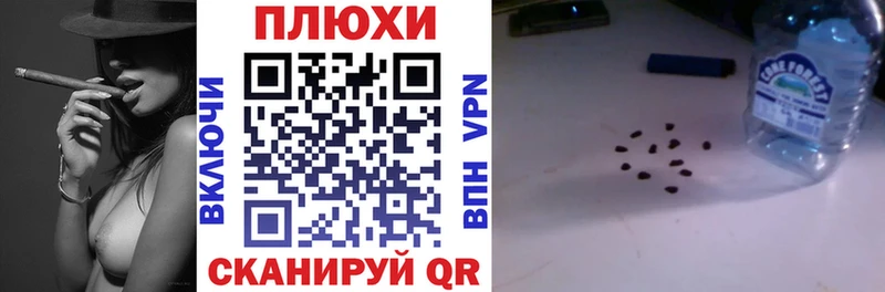 дарк нет какой сайт omg зеркало Гашиш Изолятор Городовиковск закладка
