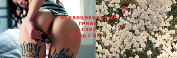 a pvp Баксан