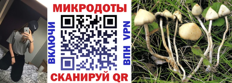 нарко площадка Telegram  Городовиковск  Галлюциногенные грибы GOLDEN TEACHER 